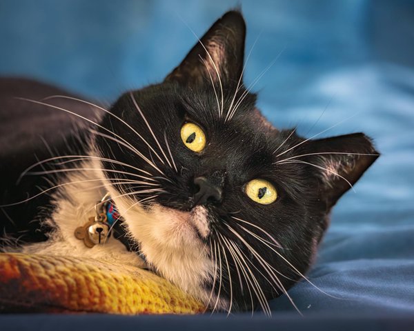 Unlocking Security: The Advantages of Blockchain Technology in UK Financial Transactions